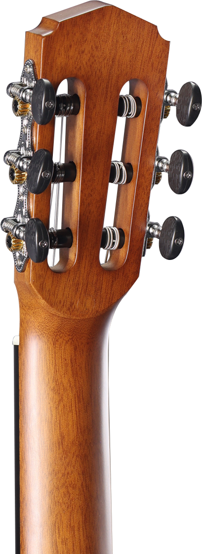 Altura A1M Alumna Series 4/4 Size Classical with Gig Bag