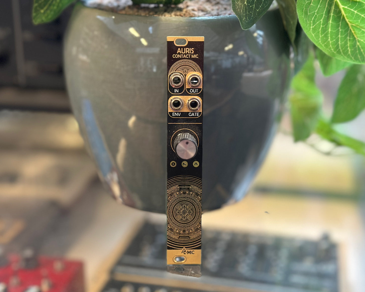 After Later Audio Auris (Mutable Instruments Ears Clone)