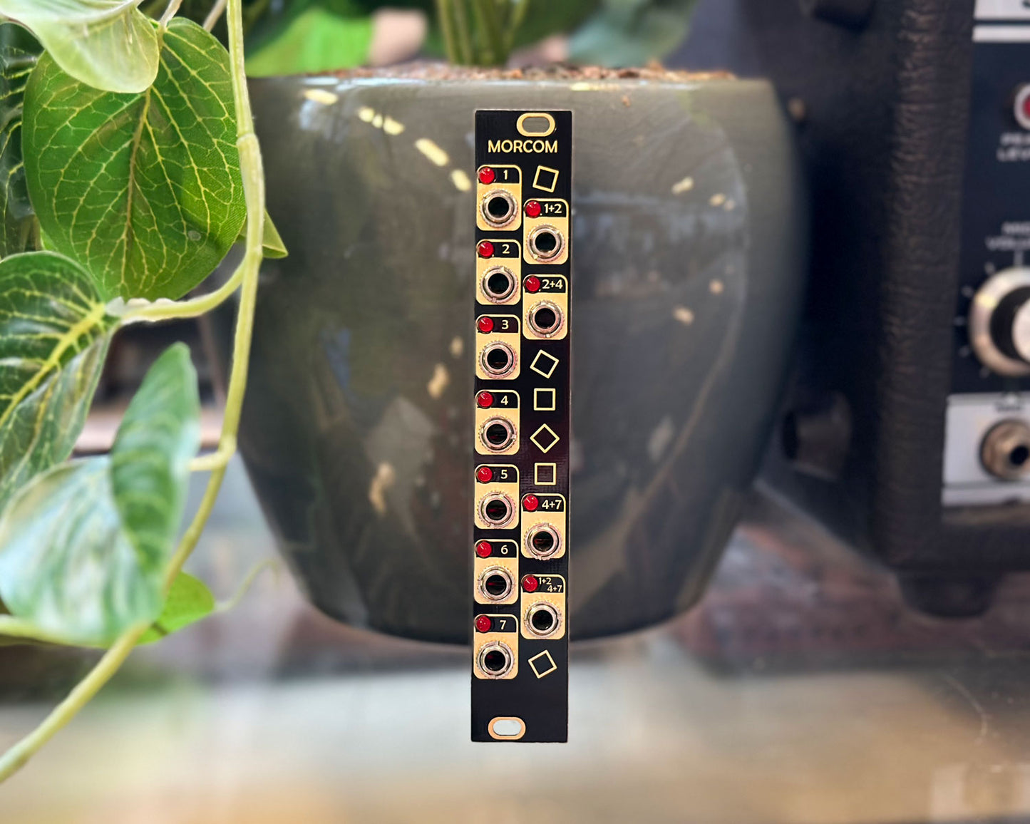 After Later Audio Morcom Expander for micro Turing Machine (Alan)