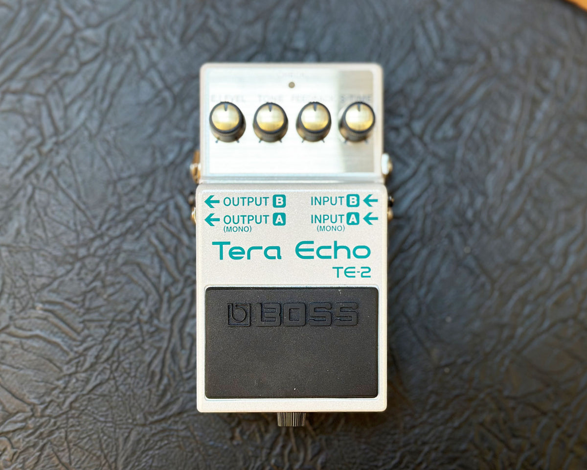 BOSS TE-2 Tera Echo – Found Sound