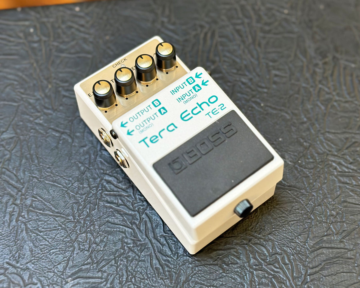BOSS TE-2 Tera Echo – Found Sound