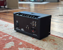 Load image into Gallery viewer, Bad Cat Paw Desktop Stereo 60w Amp