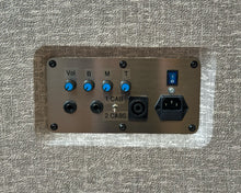 Load image into Gallery viewer, BlueAmps Junior EX 1000 Watt 4x6.5" Guitar Amplifier