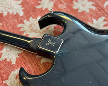 Load image into Gallery viewer, 1963 Burns Black Bison 🇬🇧