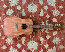 Load image into Gallery viewer, Cole Clark FL2 RDMAH Fat Lady 2 Series Dreadnought Acoustic Guitar