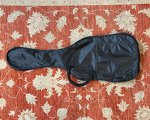 Load image into Gallery viewer, Danelectro DC59X w/ Hipshot Baby Grad