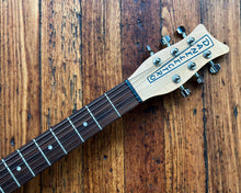 Load image into Gallery viewer, 1999 Danelectro Hodad - Blue Sparkle w/Danelectro Vibrato