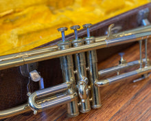 Load image into Gallery viewer, Dellman Trumpet