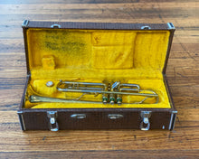 Load image into Gallery viewer, Dellman Trumpet