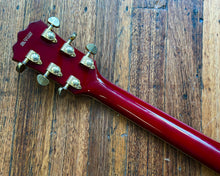 Load image into Gallery viewer, Dexter DH-355 Semi Custom Hollow Body