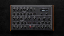 Load image into Gallery viewer, Erica Synths Steampipe