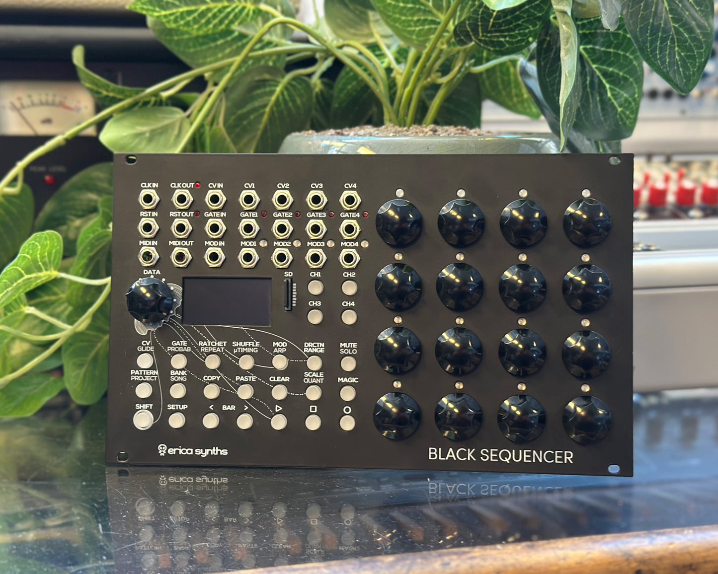 Erica Synths Black Sequencer Eurorack Module