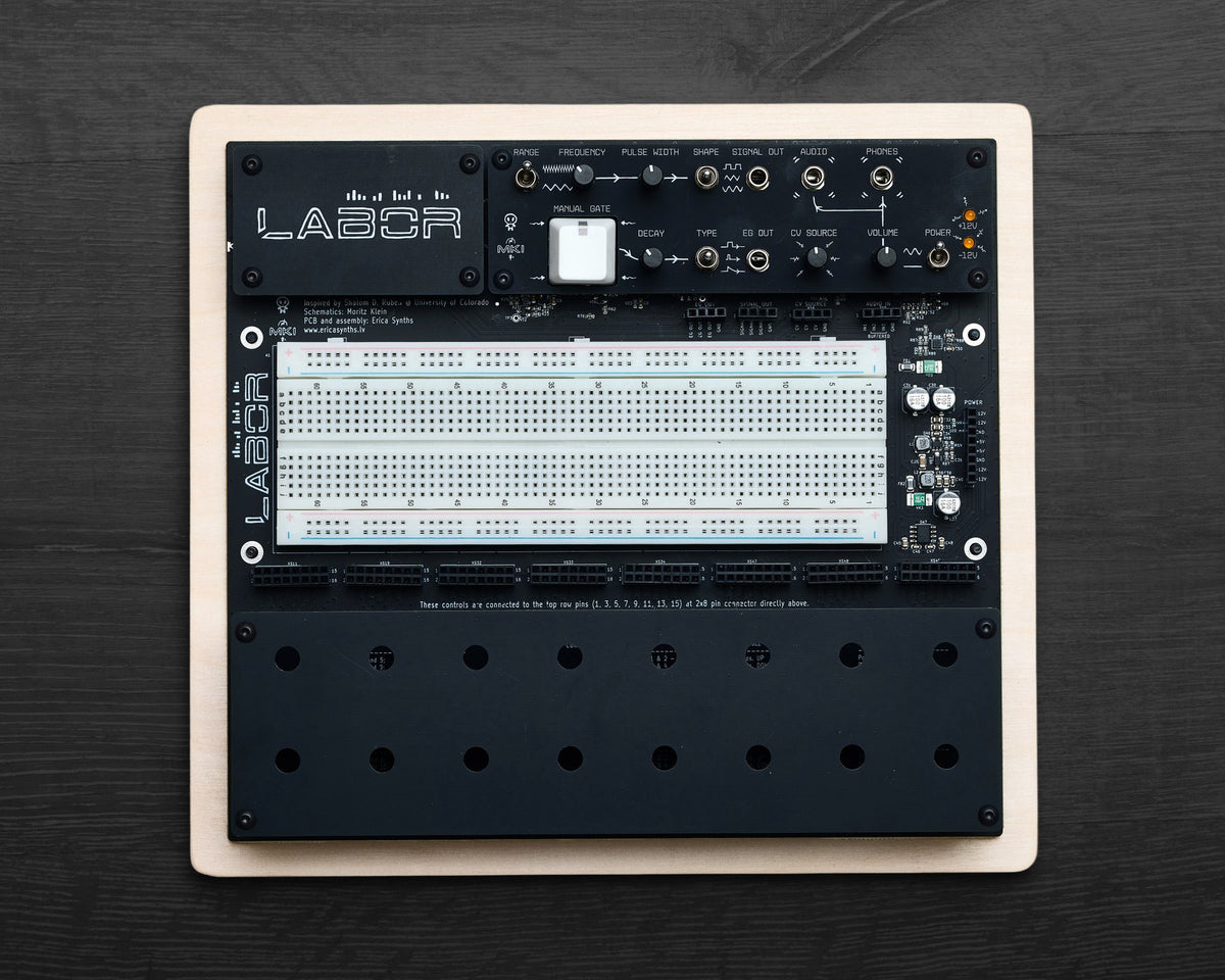 Erica Synths mki x es.EDU EDU DIY Labor Full Kit – Found Sound