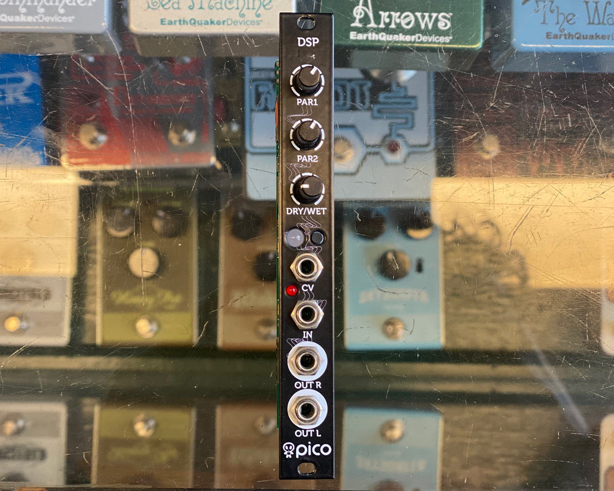 Erica Synths Pico DSP – Found Sound