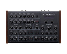 Load image into Gallery viewer, Erica Synths Steampipe