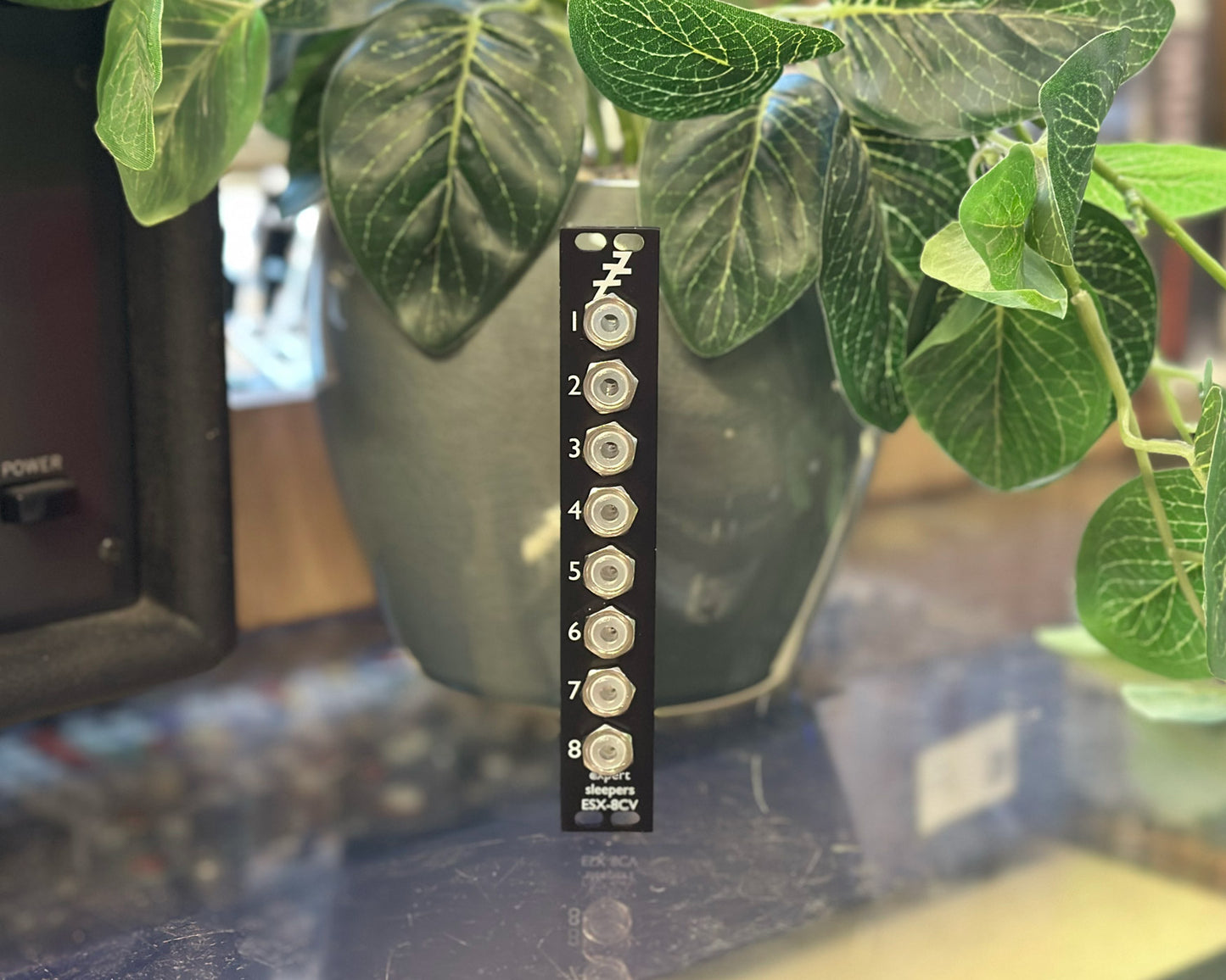 Expert Sleepers ESX-8CV MkII CV Expander