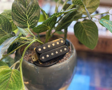 Load image into Gallery viewer, G&L Humbucker Pickup