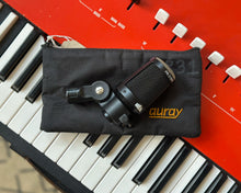 Load image into Gallery viewer, Heil Sound PR 31 BW Dynamic Microphone