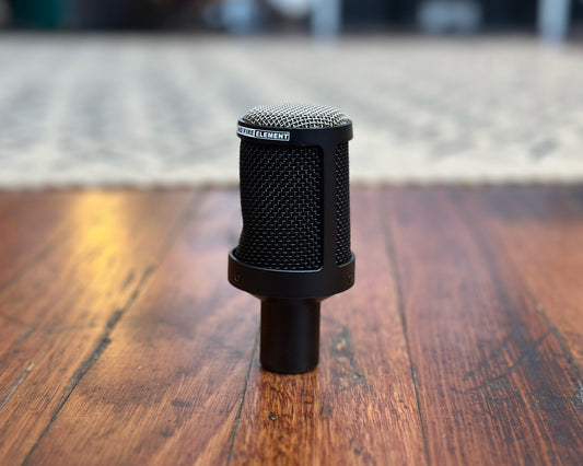 Heil Sound PR 31 BW Dynamic Microphone