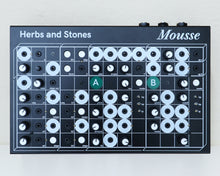 Load image into Gallery viewer, Herbs & Stones Mousse