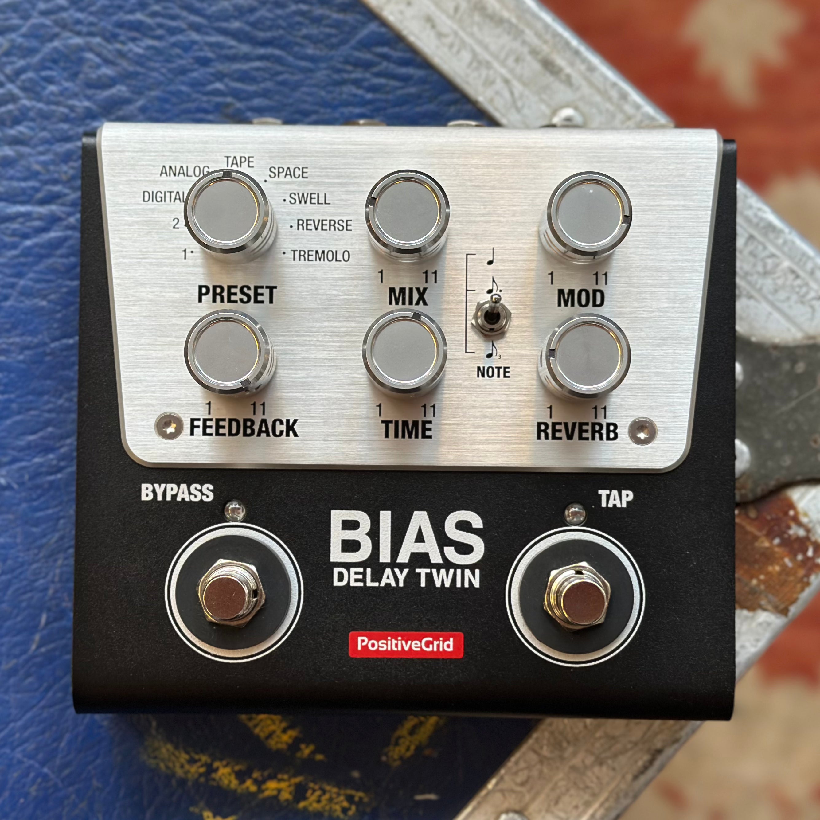 Positive Grid Bias Delay Twin – Found Sound