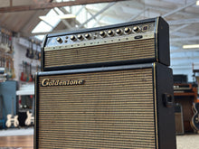 Load image into Gallery viewer, Goldentone Reverbmaster 60