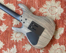 Load image into Gallery viewer, Ibanez PWM100 Paul Waggoner Signature