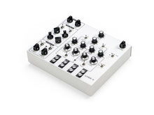 Load image into Gallery viewer, Soma Laboratory Lyra-4 Organismic Synthesizer - White Angel