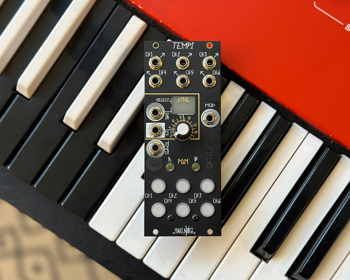 Make Noise TEMPI Found Sound