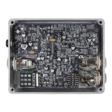 Load image into Gallery viewer, Fairfield Meet Maude Analogue Delay Pedal