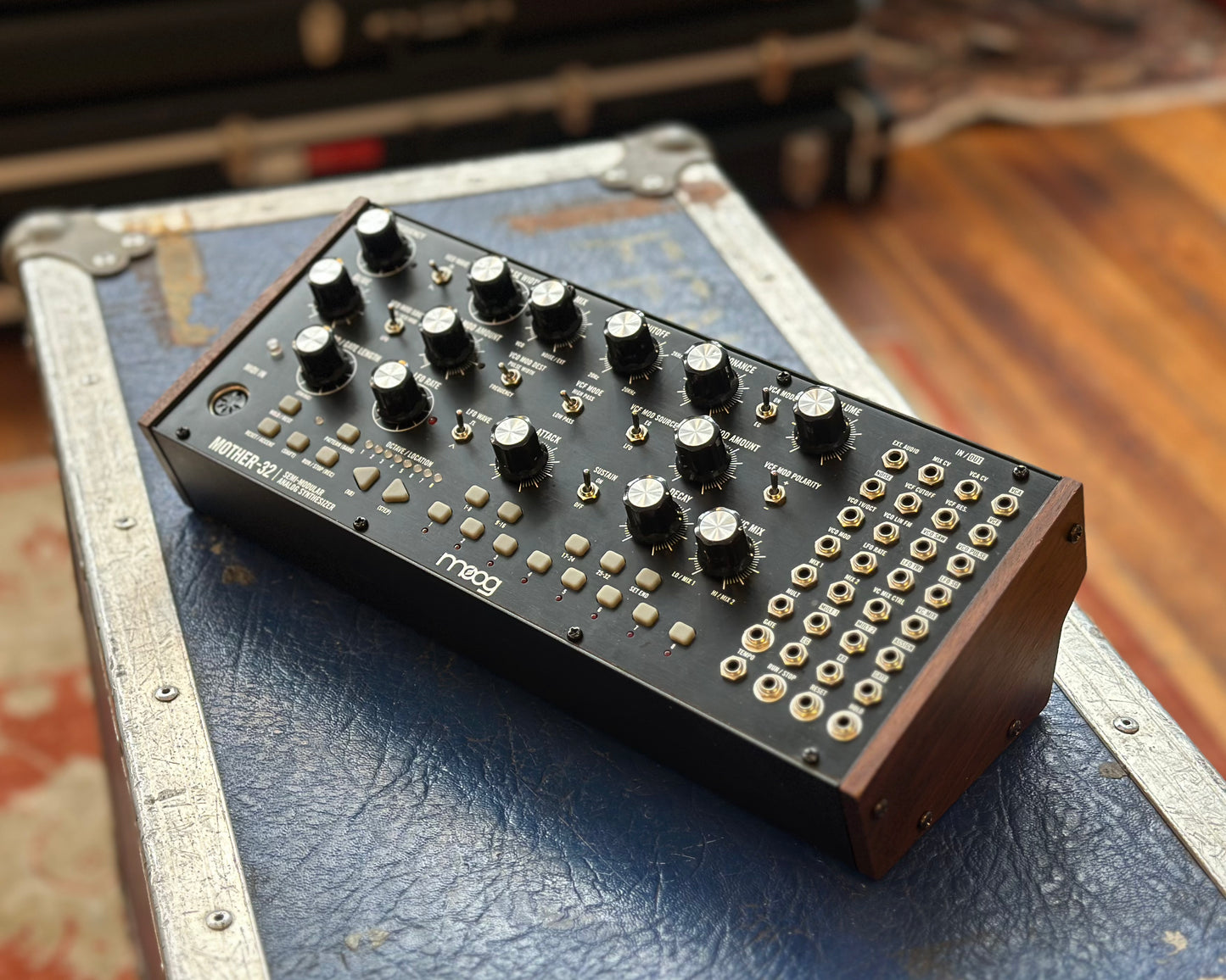 Moog Mother-32 Analog Synthesizer w/ Erica Synths Pico MScale