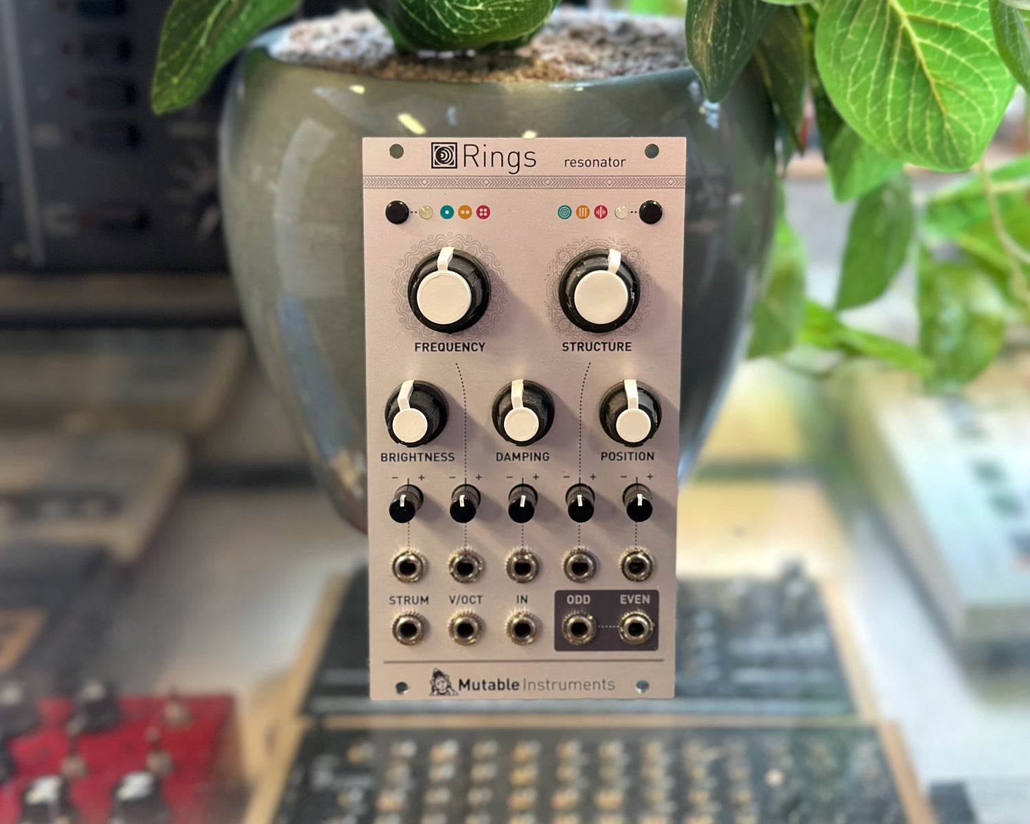 Mutable Instruments Rings Eurorack Resonator – Found Sound