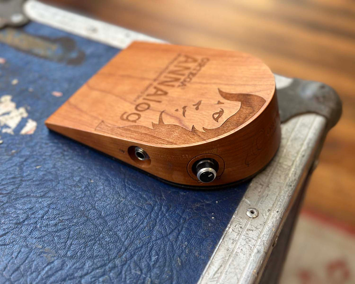 Ortega ANNAlog Analog Percussion Stomp Box – Found Sound