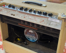Load image into Gallery viewer, Peavey Delta Blues 115