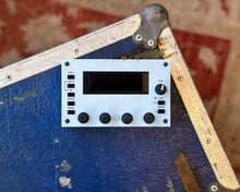 Load image into Gallery viewer, Preen FM2