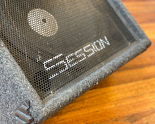 Load image into Gallery viewer, Session SBC 115FB 125 Watt 1X15" 8Ω Foldback Wedge