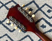 Load image into Gallery viewer, Vintage '50s Silvertone Mandolin