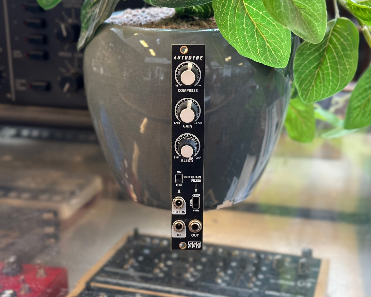 Steady State Fate Autodyne - Black