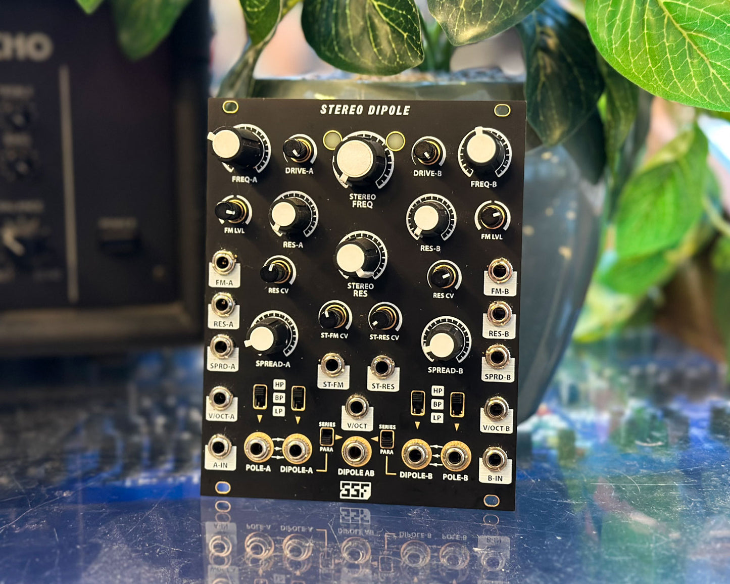 Steady State Fate Stereo Dipole - Black