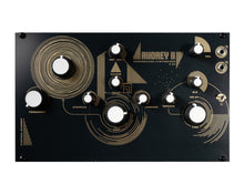 Load image into Gallery viewer, Synthux Audrey II Feedback Synthesizer