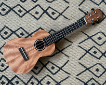 Load image into Gallery viewer, Tanglewood Union Series TU3 - Concert