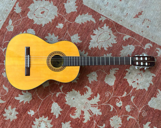 Wayne D-65 Classical Guitar
