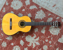 Load image into Gallery viewer, Wayne D-65