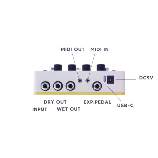Bananana Effects Quimera Pitch-Tracking Synthesizer Pedal 🍌