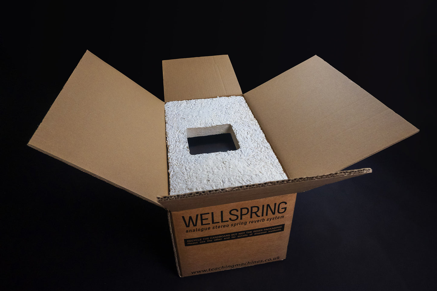 Teaching Machines Wellspring Stereo Spring Reverb Machine