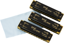 Load image into Gallery viewer, Fender Blues Deville Harmonica (Set of 3)