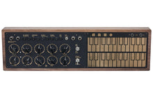 Load image into Gallery viewer, Meng Qi Wing Pinger Synthesizer for Banana Plugs