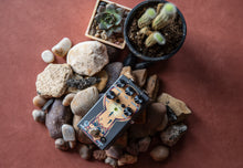 Load image into Gallery viewer, Walrus Audio Mira Optical Compressor