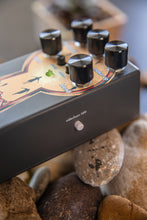 Load image into Gallery viewer, Walrus Audio Mira Optical Compressor