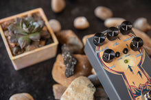 Load image into Gallery viewer, Walrus Audio Mira Optical Compressor